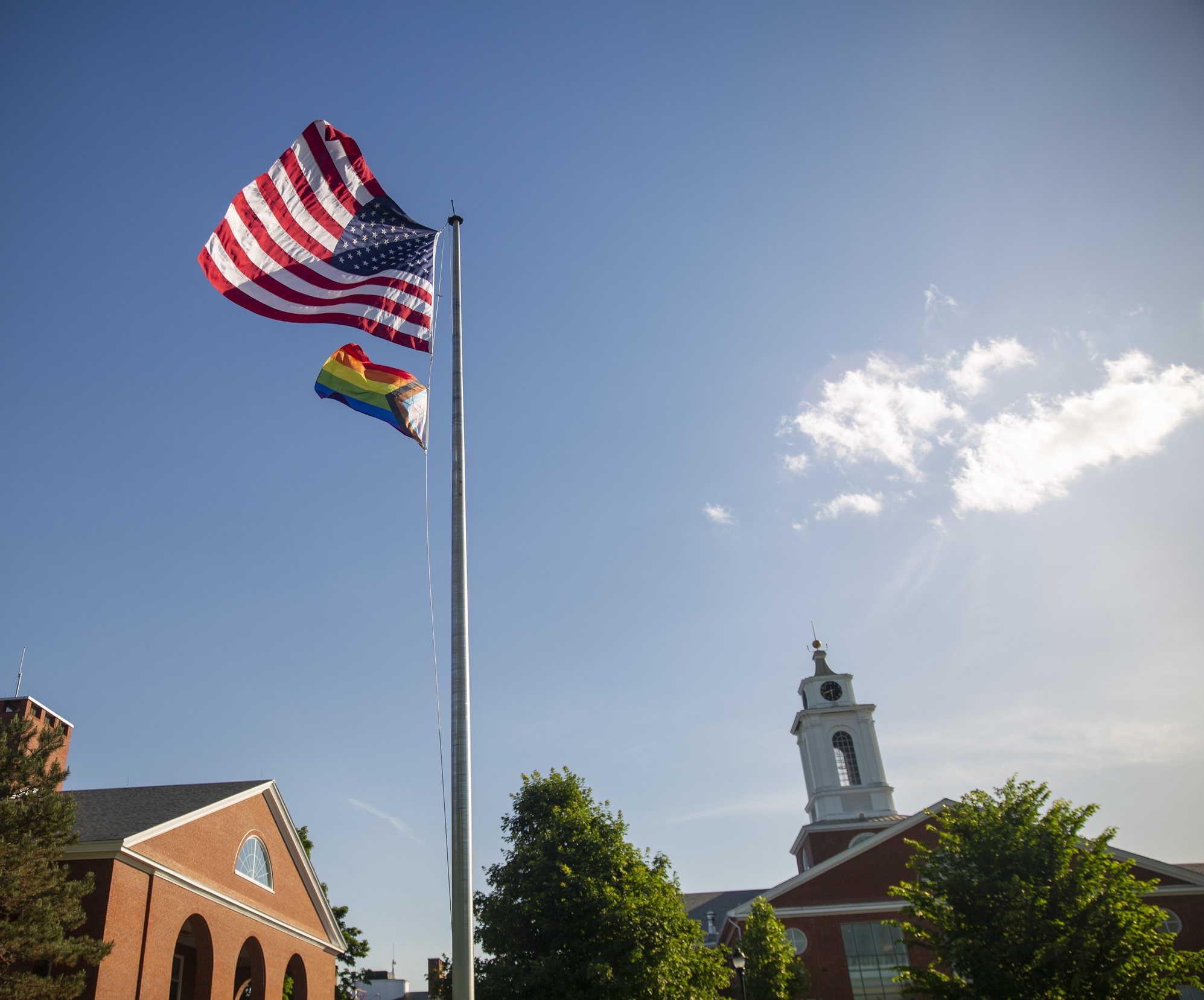 The Pride Flag in front of the Library