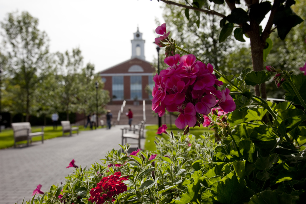 Photo of Bentley Library with fuchsia flowers in foreground. 