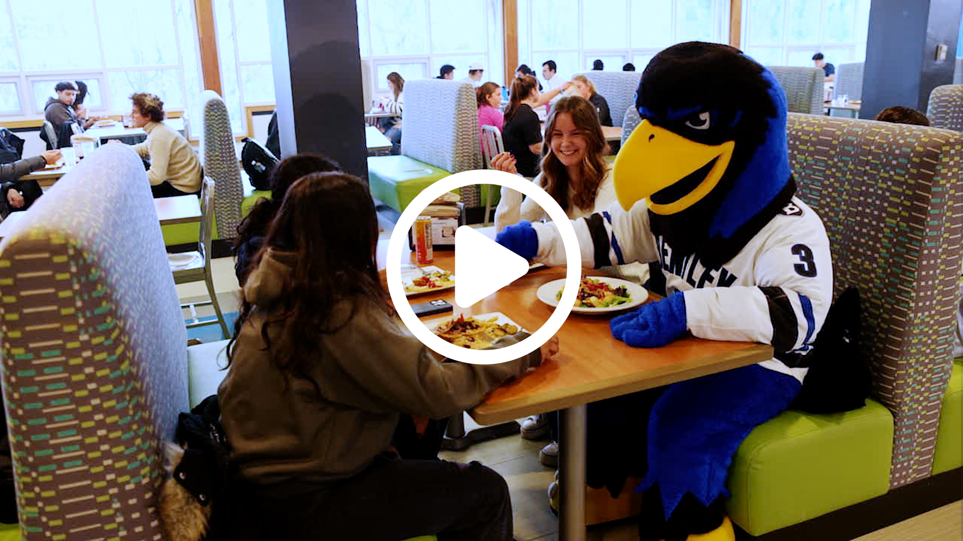 Flex the Falcon sitting at a table with a Bentley student