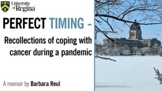 book cover of memoir by Barbara Reul - "Perfect Timing"