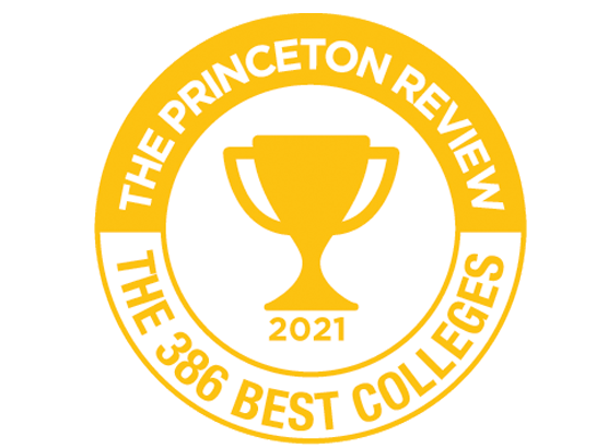 princeton review badge