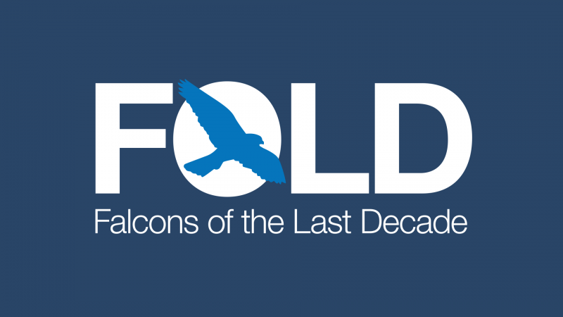 Falcons of the Last Decade logo