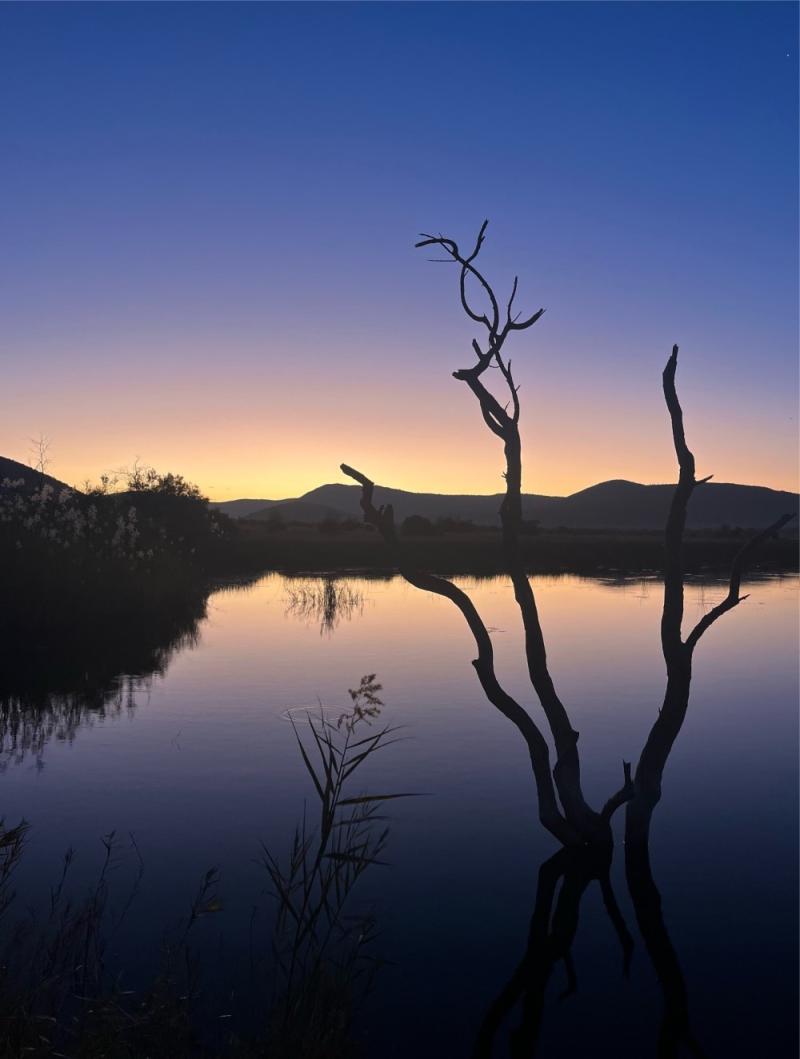 A sunset photo taken at Pilanesberg National Park in South Africa, featuring a tranquil lake in the foreground and gently rolling hills in the distance.