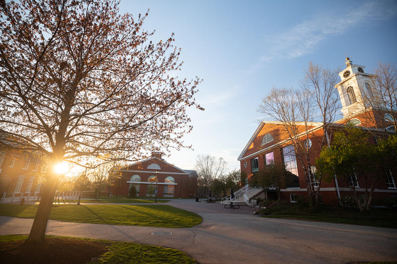 Brick campus buildings, early morning sun in springtime